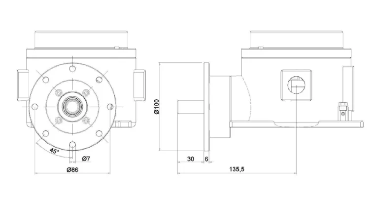 Flange And Feet Mounting