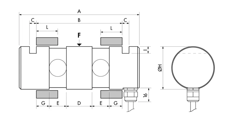 Eje Dinamométrico PSPRX Eje Dinamométrico PSPRX